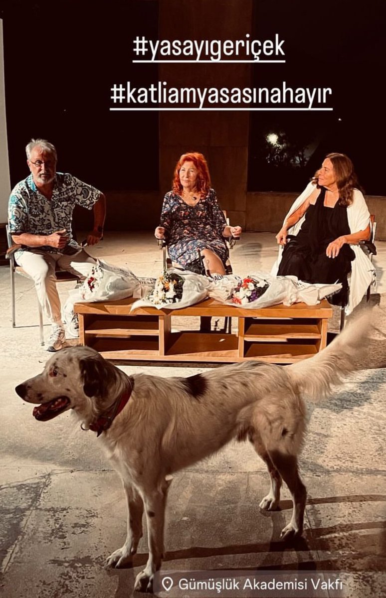 Gümüşlük Akademisi sakinlerinden Gümüş, dün sabah derse girdi, bütün gün katılımcılarla ilgilendi, akşam da Nazlı Eray ve Latife Tekin’le gerçekleştirdiğimiz söyleşiye katıldı. Süper bir dost, gerçek bir emekçi…

#yasayıgeriçek 

<a href="/gumuslukakademi/">Gümüşlük Akademisi</a>