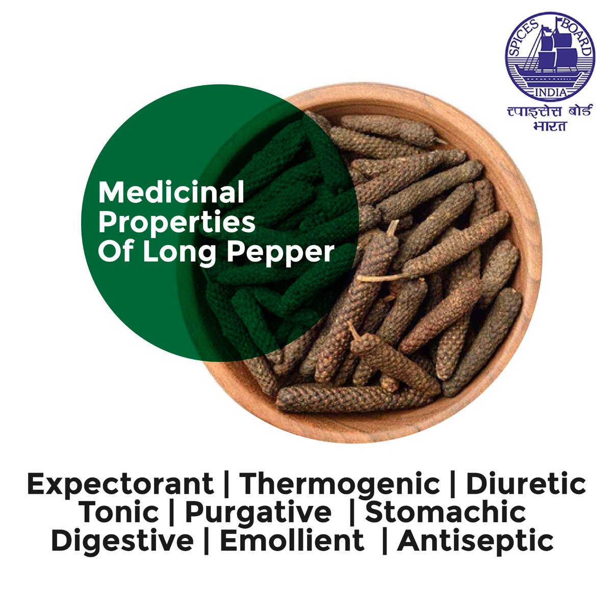 Spices_Board's tweet photo. Embrace the natural healing benefits of Long pepper!
#spicesboard #longpepper #incrediblespicesofindia https://t.co/qtH0gfnPCt