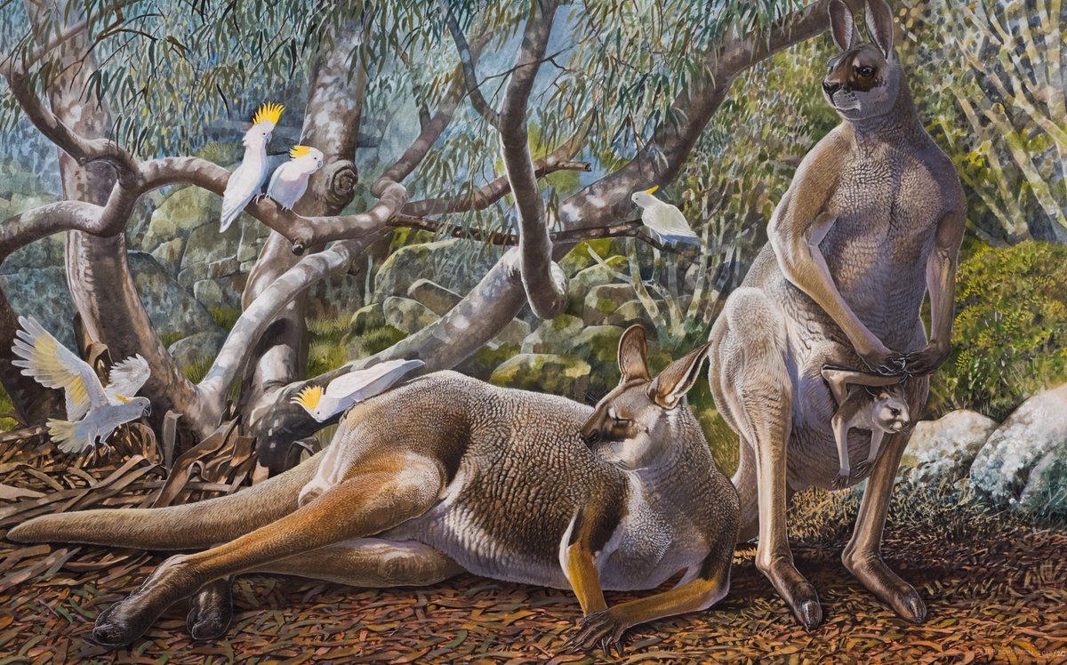 Exciting News! Renowned artist Peter Schouten AM FRSN is coming to Megafauna Central, Alice Springs for a weeklong residency! magnt.net.au/alicepsrings