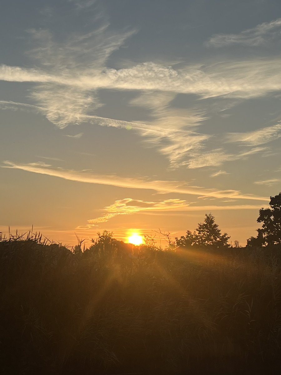 Is_Right's tweet image. 6k run at 5:15am 🏃🏻☀️