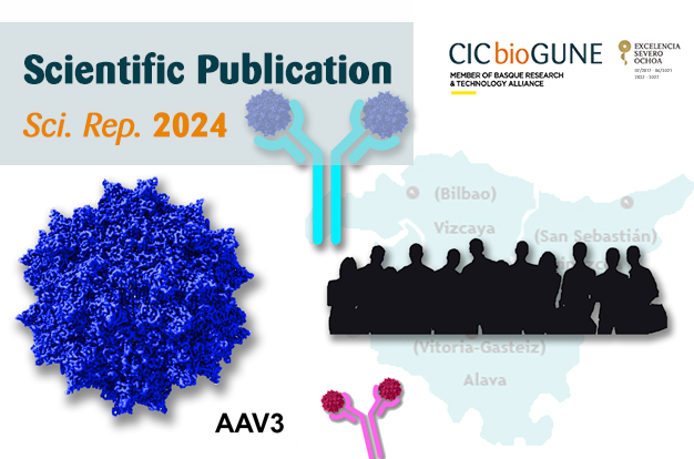 CICbioGUNE's tweet photo. #bioGUNE_Research | 🧬 New study reveals key insights into adeno-associated virus (AAV) prevalence in the Basque population

🔬Researchers from @AbresciaL #CICbioGUNE @brta_eus @Ikerbasque

🧾 @SciReports
🎉 Congratulations! 
🔗 https://t.co/uLThwOaD8R https://t.co/cYiN5vEn0Q