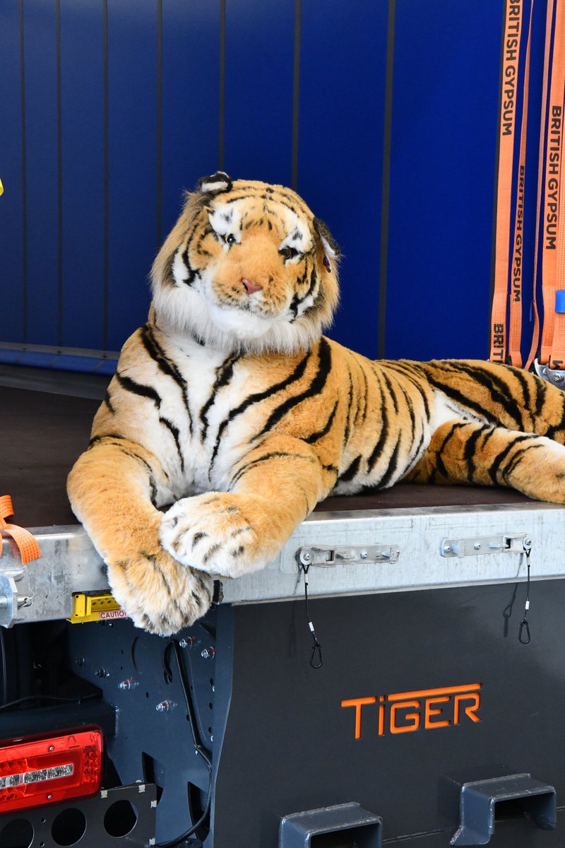 Tigers4Ever2010's tweet photo. 🐅🌍 It's Global Tiger Day! Bamera, our toy tiger, is spreading awareness with @TigerTrailers . Check out his mischief and support https://t.co/CpxOANxaoM! #GlobalTigerDay #SaveTheTigers https://t.co/Np1LfQD6Yg