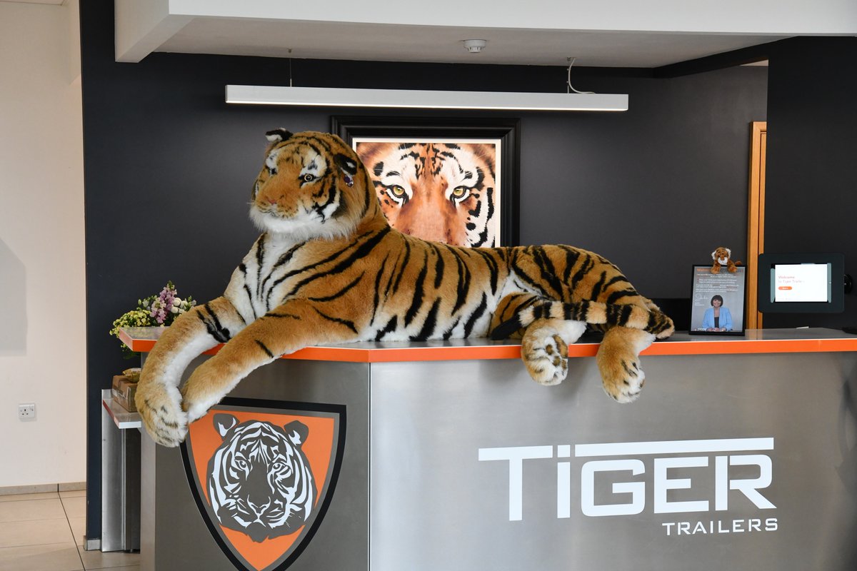 Tigers4Ever2010's tweet photo. 🐅🌍 It's Global Tiger Day! Bamera, our toy tiger, is spreading awareness with @TigerTrailers . Check out his mischief and support https://t.co/CpxOANxaoM! #GlobalTigerDay #SaveTheTigers https://t.co/Np1LfQD6Yg