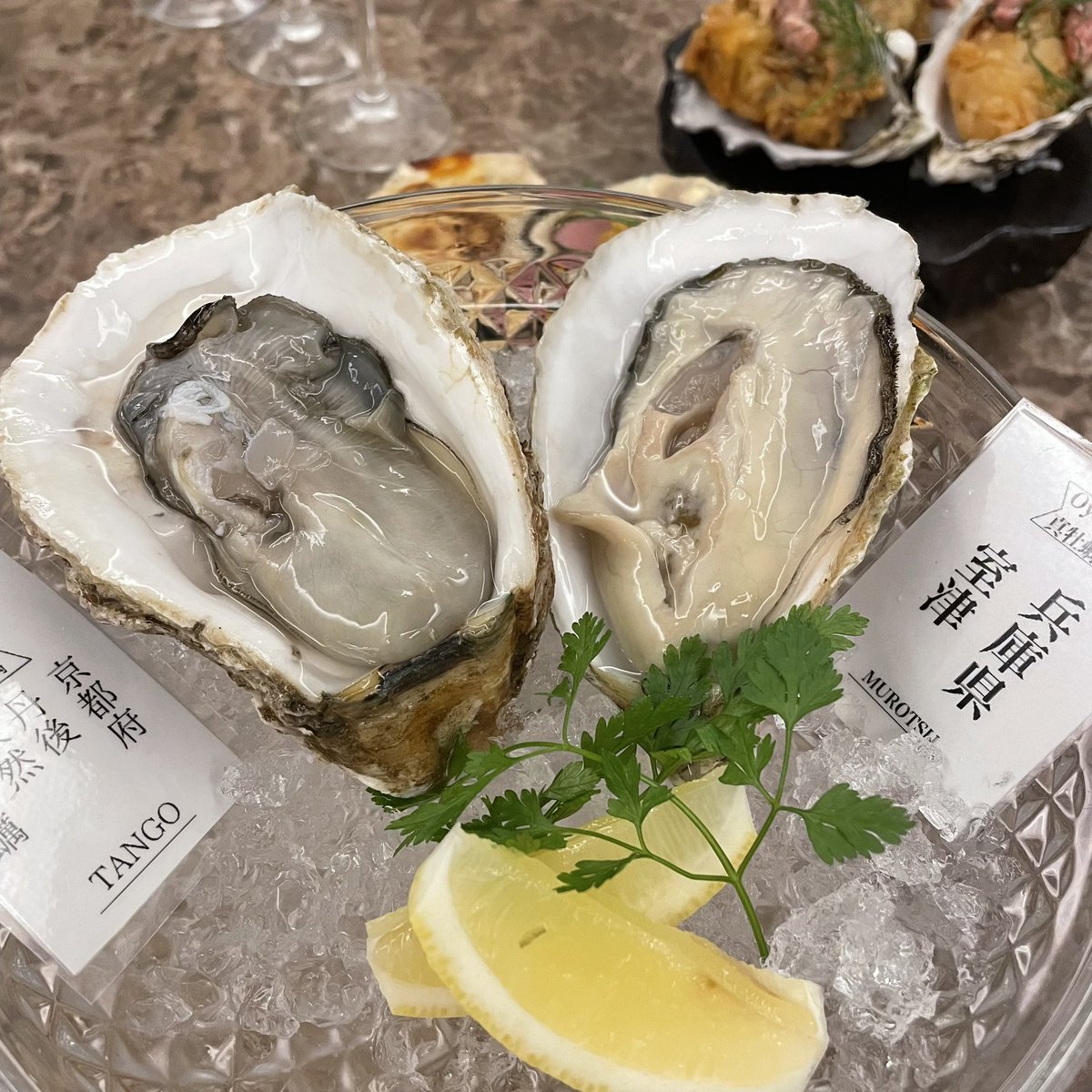 nagoya1016's tweet photo. 【牡蠣と和牛と雲丹キャビア880円が300円に🉐】
Oyster&STEAK BAR Espoir -エスポア-
🏠愛知県名古屋市中区錦３丁目１７番５ 号 EXIT NISHIKI北棟９階
栄駅徒歩1分、【Oyster&STEAK BAR Espoir -エスポア-】さん🦪産地にこだわった新鮮な牡蠣や、季節のミニパフェが人気🚩お店のInstagramをフォローすると、
牡蠣と和牛と雲丹キャビア880円が300円に🉐朝5時まで、日曜日も営業🈺