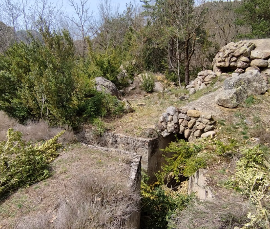 CatInfo Lleida tweet media