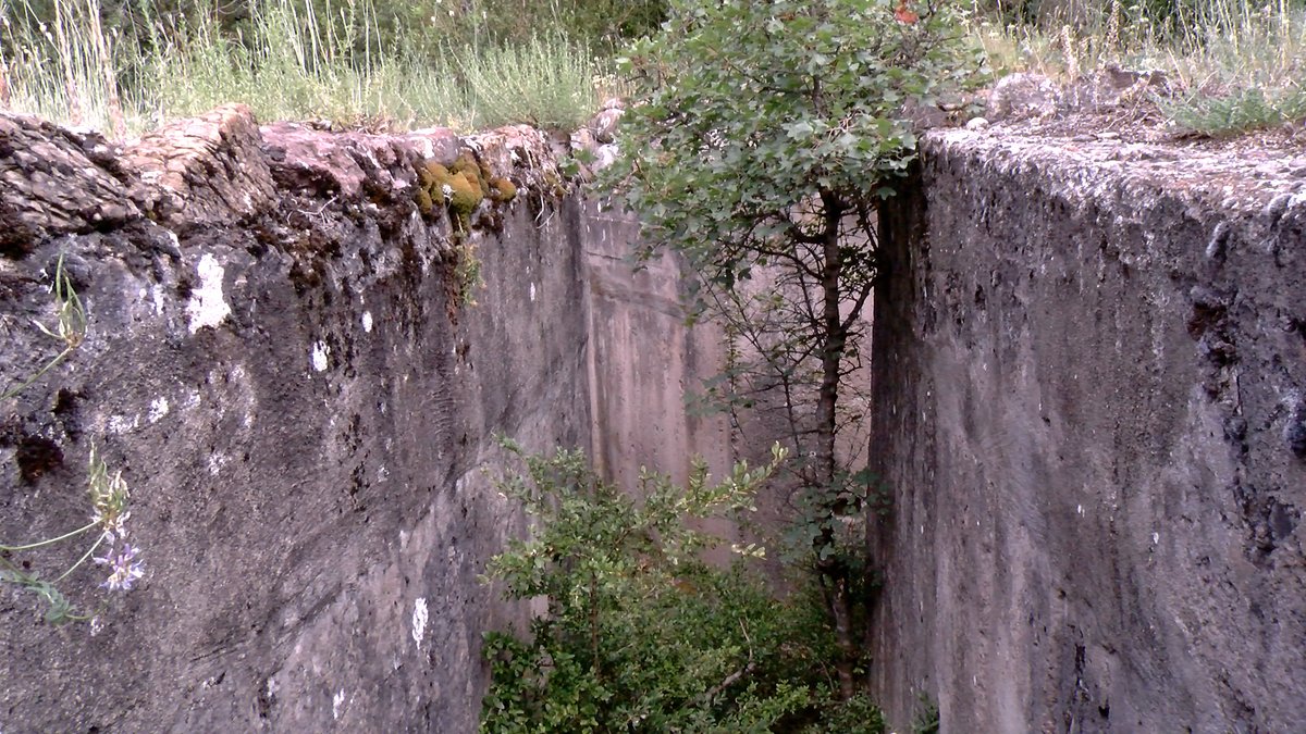 CatInfo Lleida tweet media