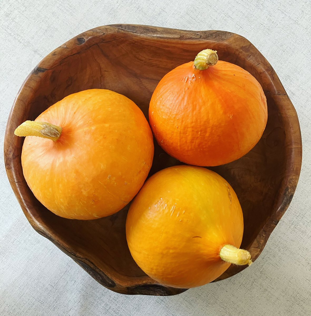 Refill_UK's tweet photo. When you think you’re growing melons and they turn out to be squash.😊🧡
.
The results of a very happy seed mix up.😊🧡
Vertically grown #redkuri squash.
. 
With a mild sweet, nutty flavor, similar to chestnuts, and a smooth, creamy texture.
#roastedsquash 😋 #socute https://t.co/fQThXQkzTF