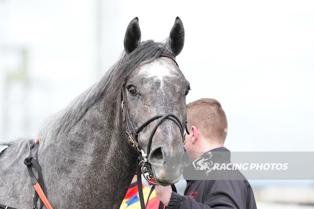 Rohan Hughes (@rohanjhughes) on Twitter photo Bit of WOW factor there! The big grey beast Silver Magnate last to first for a stunning debut victory. Superbly prepared by the Master <a href="/Grahame_Begg/">Grahame Begg Racing</a> along with all the team <a href="/CFHylandRacing/">Chris Hyland</a> Great steer <a href="/JChilds47/">Jordan Childs</a> Congrats to an incredibly patient and supportive owner group. 💪💪💪 Bit of WOW factor there! The big grey beast Silver Magnate last to first for a stunning debut victory. Superbly prepared by the Master <a href="/Grahame_Begg/">Grahame Begg Racing</a> along with all the team <a href="/CFHylandRacing/">Chris Hyland</a> Great steer <a href="/JChilds47/">Jordan Childs</a> Congrats to an incredibly patient and supportive owner group. 💪💪💪