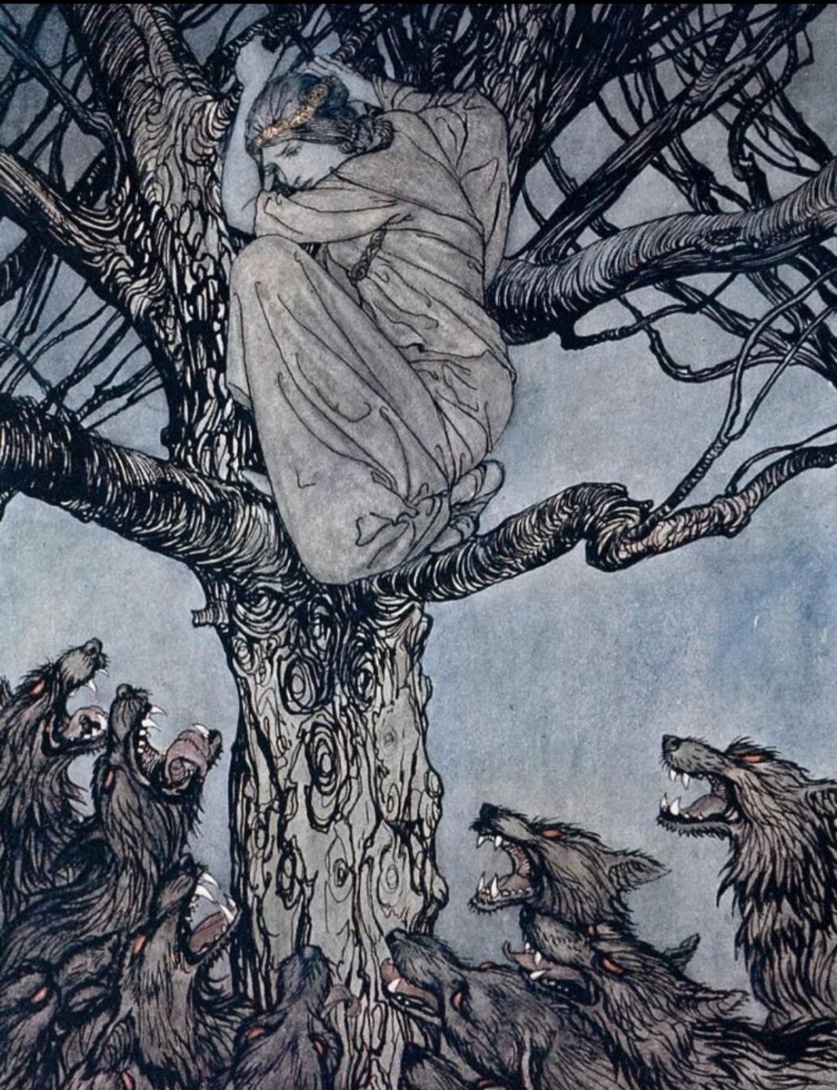 The air smelled overripe with #doubt, as if the night exhaled ghosts of half-eaten plums. Shadows poured around the ash tree. A swell of black fur and hot breath tempted by forbidden fruit.
#vss365