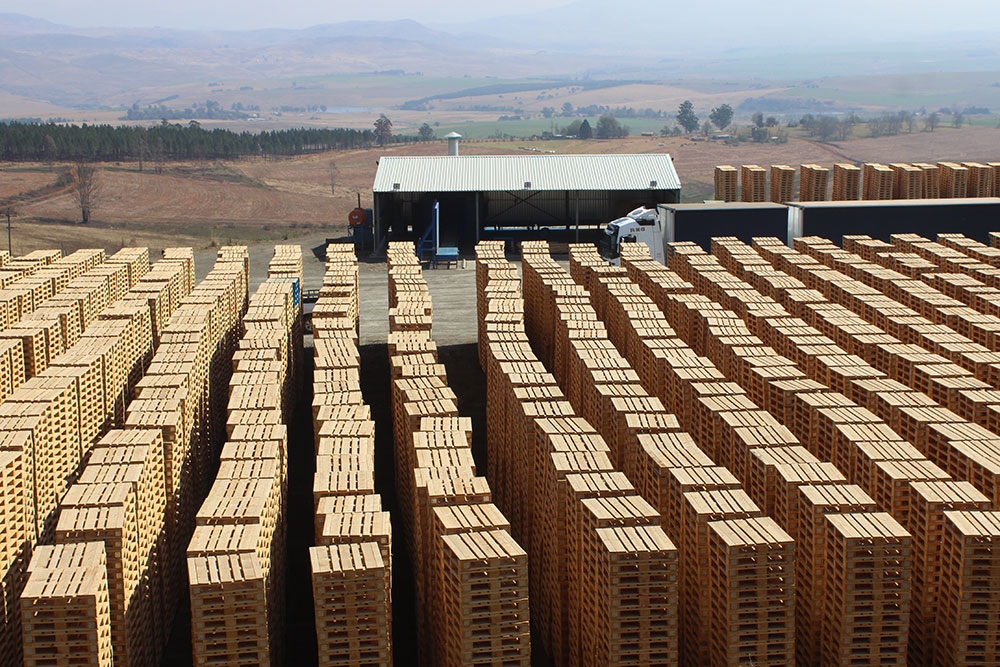 SA Forestry magazine tweet media