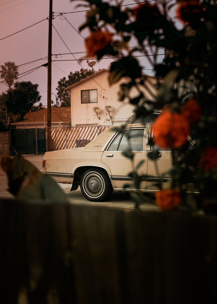 Niall O’Brien tweet media