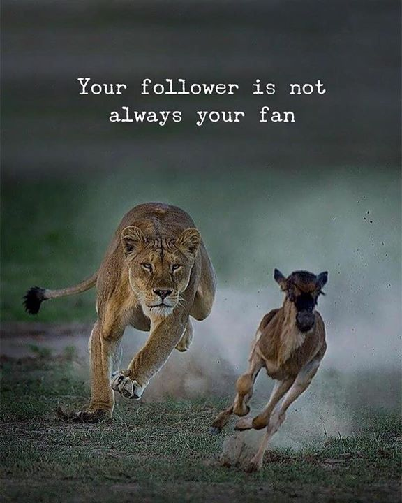 mindfulmaven_'s tweet photo. https://t.co/RaZvlrqcz5
