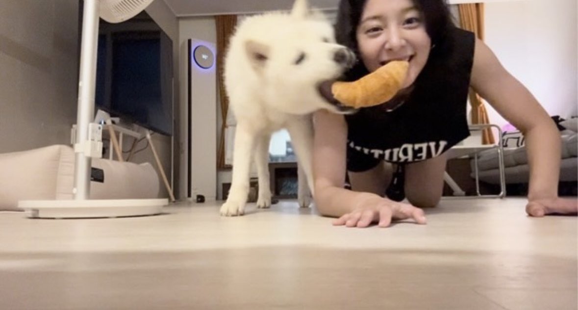 아니 ㅁㅊ 설인아왤케웃겨

키우는 멈머가 개친구가 없을때
견주가 개가 되어주면된대