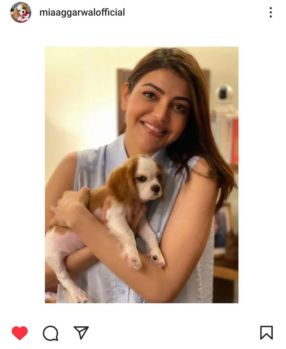 KajalCultSandy's tweet image. We want Rhyme × Mia Meet

@AlwaysRamCharan @MsKajalAggarwal #Rhyme #MiaAggarwal