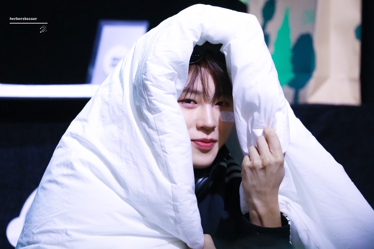 240727 하성운 비트로드 팬사인회
생냥이가 나 쳐다봐🐱
#hasungwoon