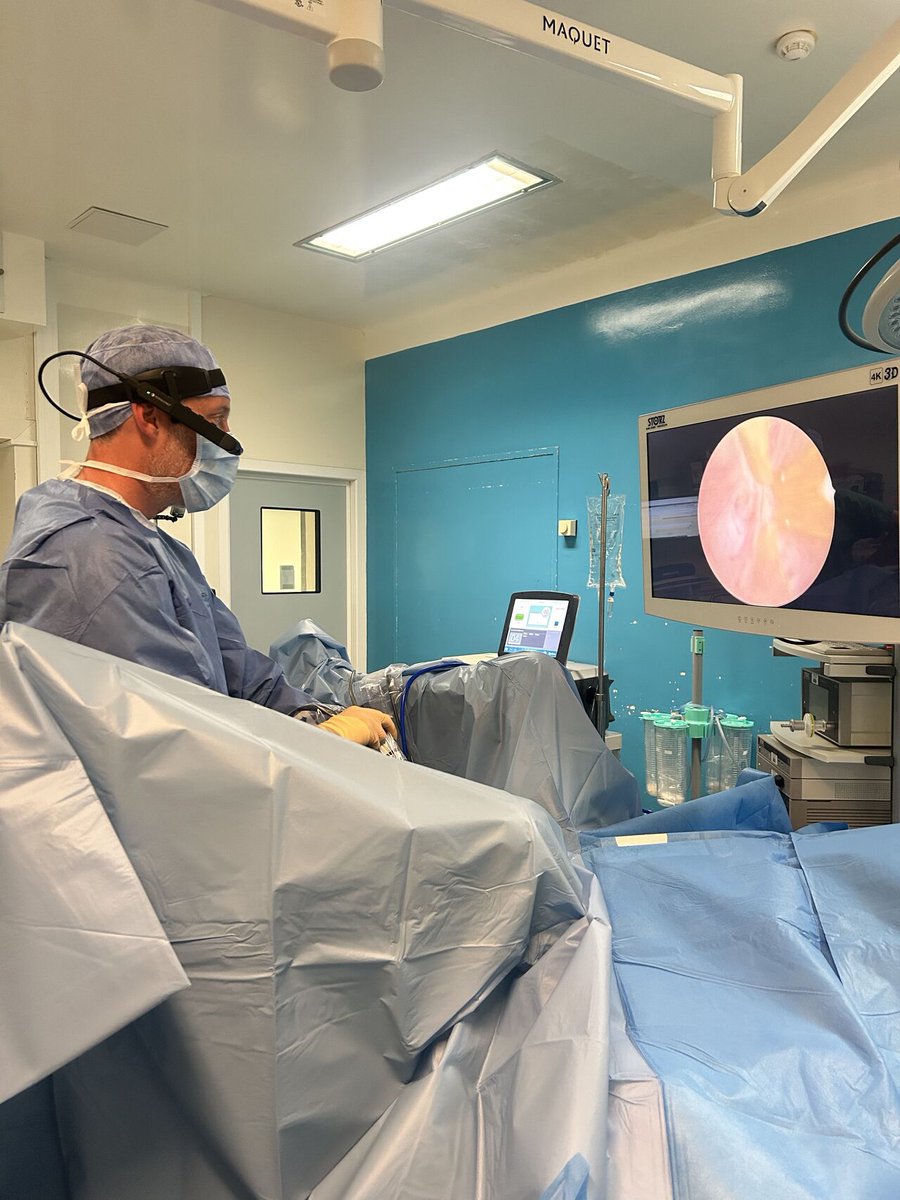 Rods&Cones tweet media