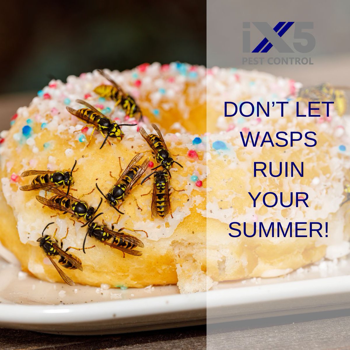 iX5uk's tweet photo. Don't let wasps ruin your outdoor fun! ๐Discover how to identify wasp nests and take action before they become a problem. Visit our blog for essential advice on spotting wasp activity. Click here: https://t.co/v3UkHAZF4n #WaspActivity #WaspPestControl #WaspNest https://t.co/SPpAeBRyYQ