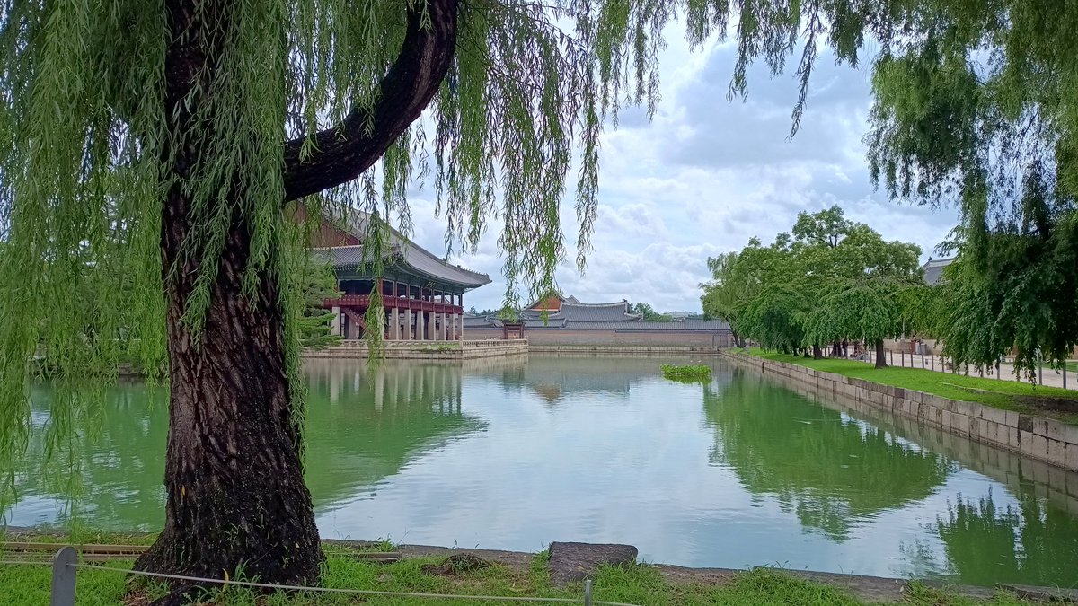 StarryPineapple's tweet photo. Joonie, don't worry anymore love! Am literally just down the road now to rescue you.
Great first few days in #Seoul celebrating the end of a 26 year teaching career and the beginning of unemployment😜💜 #mychapter2 https://t.co/YpDUFzseYZ