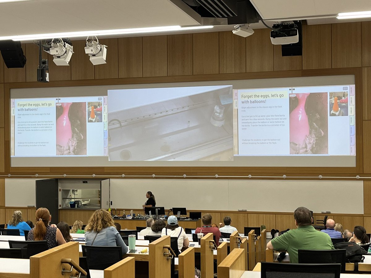 Alice Putti tweet media