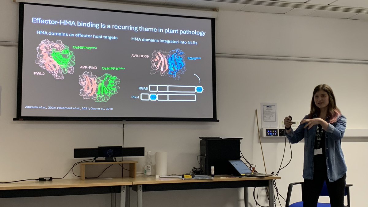 JICStudentVoice's tweet photo. @Emma_Turley_ presenting her work on Colletotrichum higginsianum effector proteins and their target HIPP protein in Arabidopsis plasmodesmata! #jictslstudentasm2024 https://t.co/l6iYI5dgde