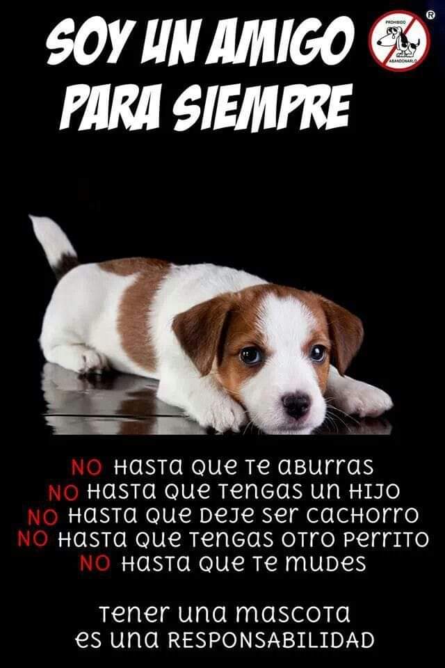 Uriel (@uriel66689314) on Twitter photo Feliz lunes! <a href="/nydiacervera/">Nydia Cervera</a> <a href="/Marilu86053/">Marilú 💕🐘🐘🐘💕 🇲🇽</a> <a href="/addy_pink/">Pinky</a> <a href="/Becky_P7/">Becky</a> <a href="/antymob/">Miss Anty Mobarak</a> <a href="/mtz_tt/">B€TT¥ ツ</a> <a href="/DaliaMRocha/">Yaya Rocha</a> <a href="/EYACAR65/">EYA</a> <a href="/EsEstra/">A L I 🐾</a> <a href="/lasaguis/">lasg</a> <a href="/LETICIA777/">LETICIA TORRES</a> <a href="/Negra_start/">Ⓝⓔⓖⓡⓐ</a> @JohannaLizalde <a href="/rumabo1/">Pata perruna 🐾🐾</a> <a href="/MARLENE_STAHL/">MARLENE 🦋</a> <a href="/Hera_Sea/">★ FRECDA, CAPÍTULO SAN LUIS POTOSÍ</a> <a href="/Vivalyk/">♓⭐🍒 Bárbariux 🍒⭐❤&💫</a> <a href="/akyoshi09/">Fabiola</a> <a href="/hidra881/">Teresa Velazquez Rodriguez</a> <a href="/duky1107/">Claudia</a> @PipianM <a href="/CasLaaU/">Soy Lau. 💜🍉</a> <a href="/MxActivista/">🐾ActivistaMX🌎</a> <a href="/1pantonio/">Antonio Palacios: Las mujeres no tienen pene</a> Feliz lunes! <a href="/nydiacervera/">Nydia Cervera</a> <a href="/Marilu86053/">Marilú 💕🐘🐘🐘💕 🇲🇽</a> <a href="/addy_pink/">Pinky</a> <a href="/Becky_P7/">Becky</a> <a href="/antymob/">Miss Anty Mobarak</a> <a href="/mtz_tt/">B€TT¥ ツ</a> <a href="/DaliaMRocha/">Yaya Rocha</a> <a href="/EYACAR65/">EYA</a> <a href="/EsEstra/">A L I 🐾</a> <a href="/lasaguis/">lasg</a> <a href="/LETICIA777/">LETICIA TORRES</a> <a href="/Negra_start/">Ⓝⓔⓖⓡⓐ</a> @JohannaLizalde <a href="/rumabo1/">Pata perruna 🐾🐾</a> <a href="/MARLENE_STAHL/">MARLENE 🦋</a> <a href="/Hera_Sea/">★ FRECDA, CAPÍTULO SAN LUIS POTOSÍ</a> <a href="/Vivalyk/">♓⭐🍒 Bárbariux 🍒⭐❤&💫</a> <a href="/akyoshi09/">Fabiola</a> <a href="/hidra881/">Teresa Velazquez Rodriguez</a> <a href="/duky1107/">Claudia</a> @PipianM <a href="/CasLaaU/">Soy Lau. 💜🍉</a> <a href="/MxActivista/">🐾ActivistaMX🌎</a> <a href="/1pantonio/">Antonio Palacios: Las mujeres no tienen pene</a>
