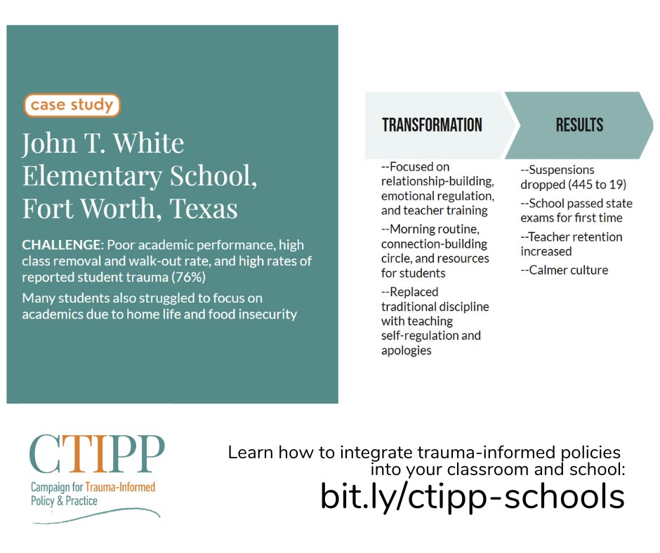 Campaign for Trauma-Informed Policy and Practice tweet media