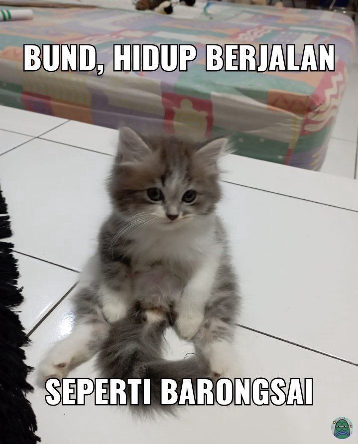 <a href="/DraftAnakUnpad/">UNPADFESS X CUCI SEPATU D'CLEANS</a> pramuda setelah melihat booklet tugas: