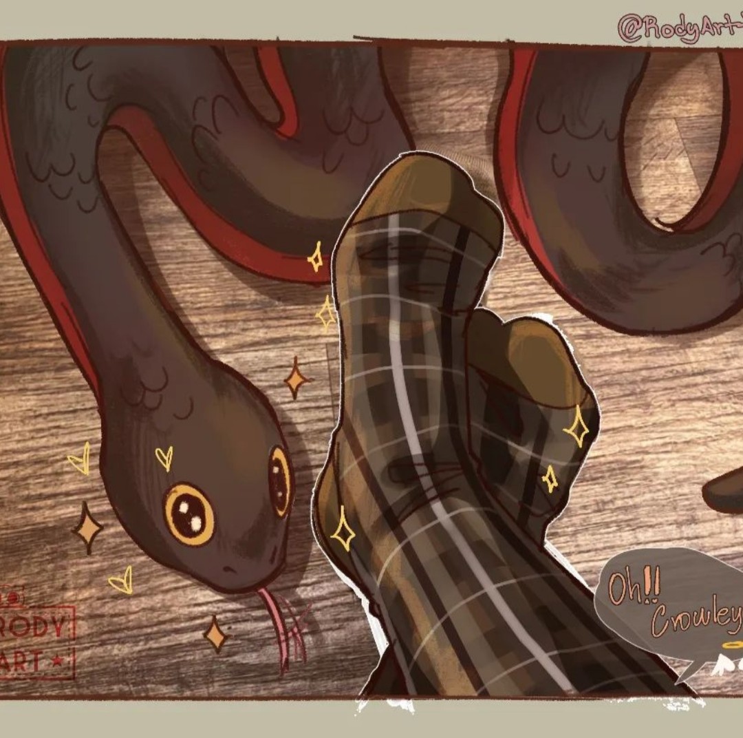viviazf's tweet photo. I guess Crowley liked the socks!

Great week to everyone! 

Artist: rod_artt (Instagram) https://t.co/rqlpwvfBEI