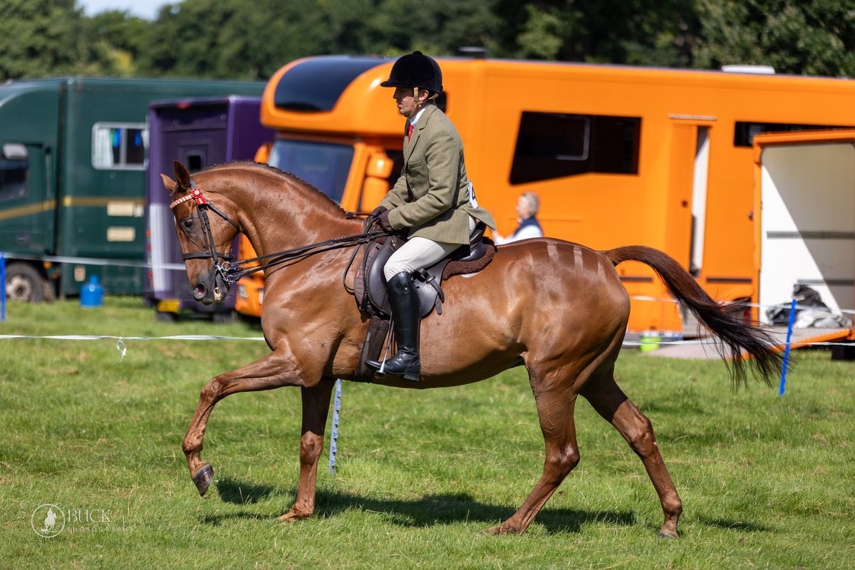 Andy Robertson tweet media