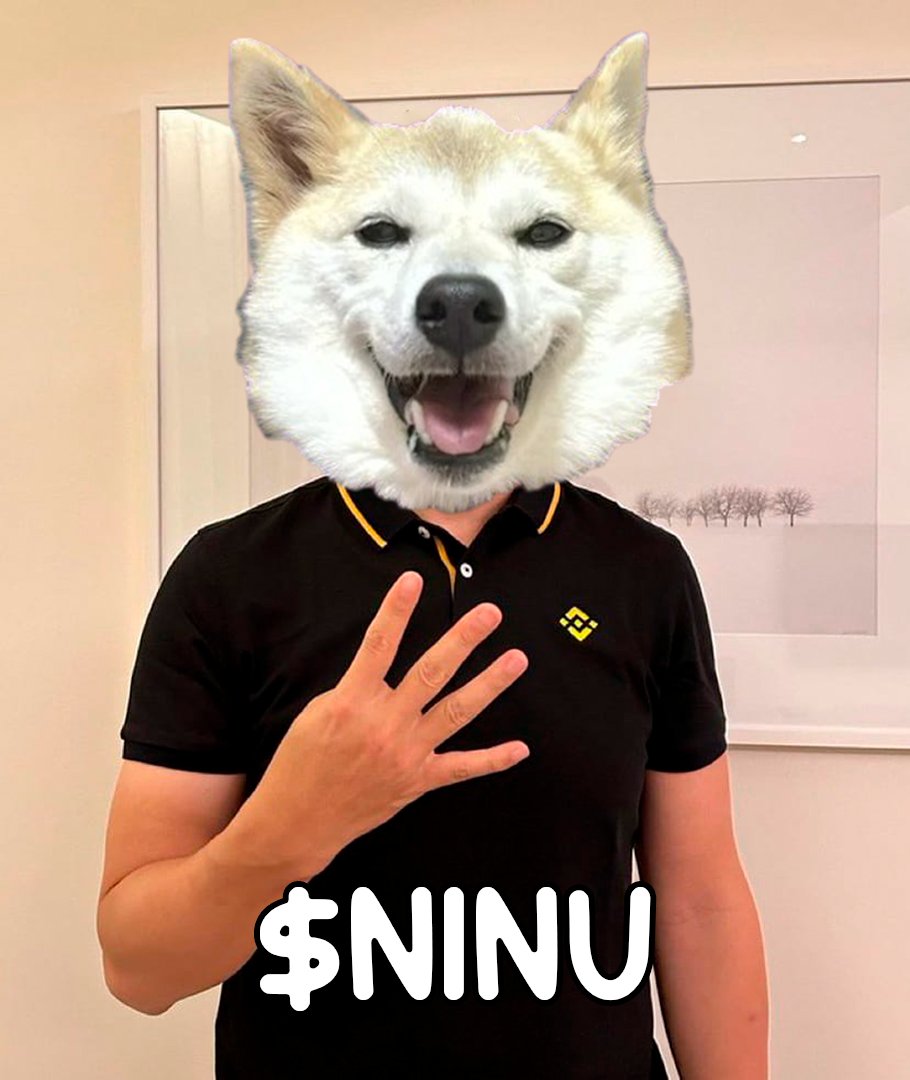 Neiro Inu tweet media