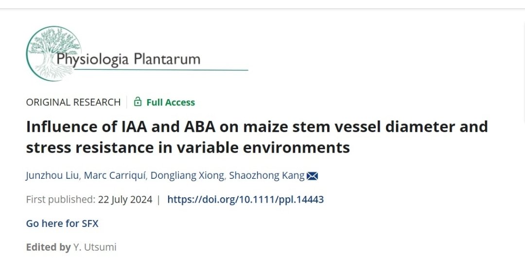 Marc Carriquí (@marcdesoller) on Twitter photo Check our latest <a href="/PPLplantarum/">Physiologia Plantarum</a> paper led by <a href="/JunzhouLiu6/">Junzhou Liu</a>!
<a href="/Xiong_DL/">Dongliang Xiong</a> <a href="/HZAU_China/">Huazhong Agricultural University</a>
<a href="/UIBuniversitat/">Universitat de les Illes Balears - UIB</a> <a href="/PlantMedUIB/">PlantMed UIB</a>
onlinelibrary.wiley.com/doi/full/10.11… Check our latest <a href="/PPLplantarum/">Physiologia Plantarum</a> paper led by <a href="/JunzhouLiu6/">Junzhou Liu</a>!
<a href="/Xiong_DL/">Dongliang Xiong</a> <a href="/HZAU_China/">Huazhong Agricultural University</a>
<a href="/UIBuniversitat/">Universitat de les Illes Balears - UIB</a> <a href="/PlantMedUIB/">PlantMed UIB</a>
onlinelibrary.wiley.com/doi/full/10.11…