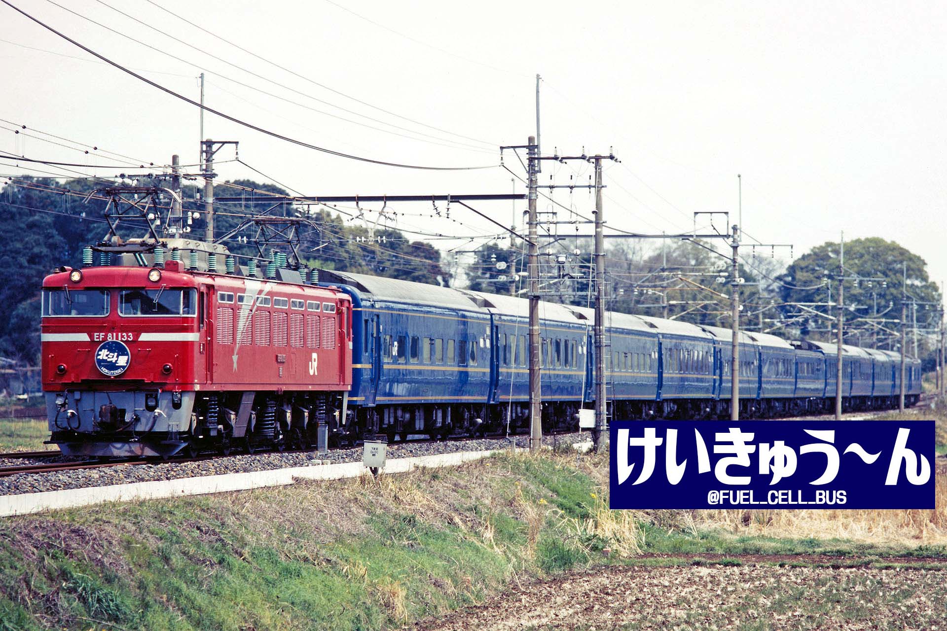 HO】 EF81(133号機・北斗星色) | TOMIX(トミックス) HO-162 HO