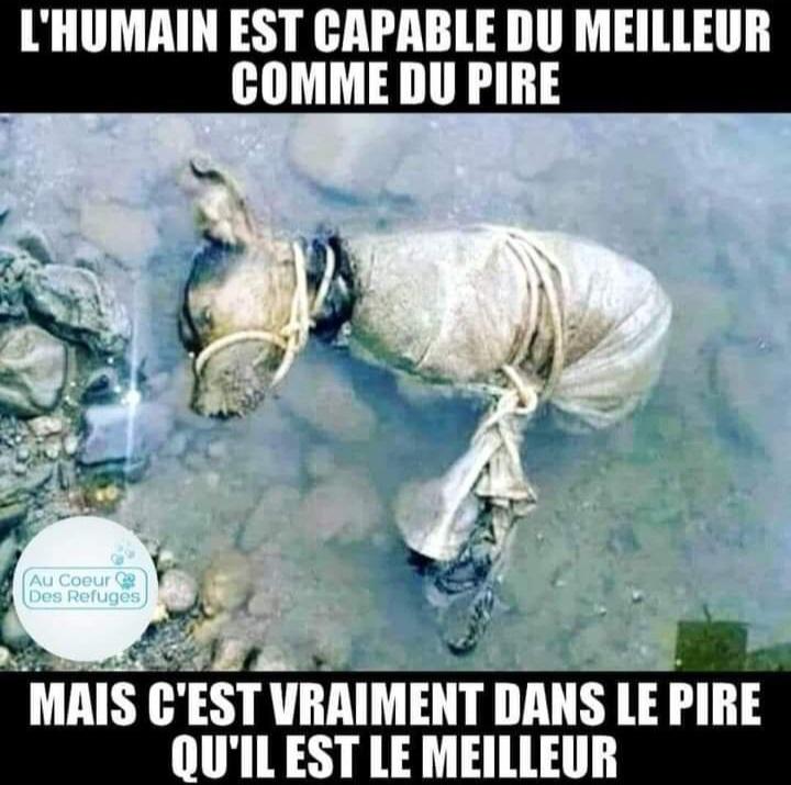 Adea Claude (@adeaclaude) on Twitter photo 