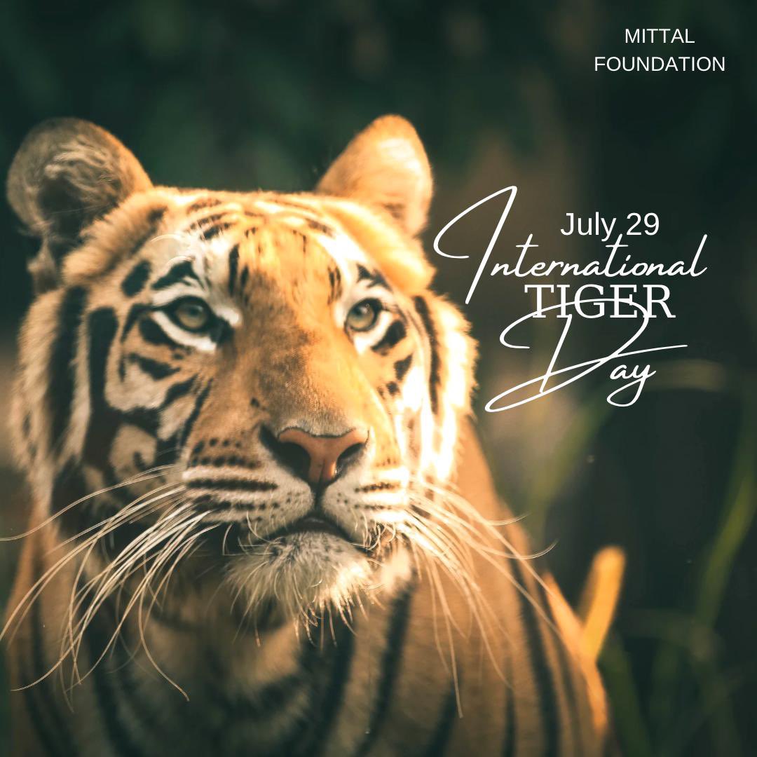 Mittal Foundation tweet media