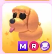 aurii ♡ join collab 📌 tweet media