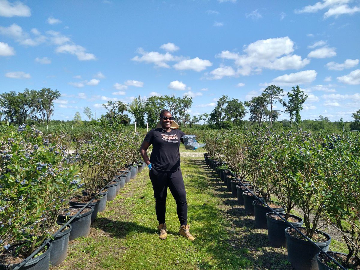 Tropical Plant Clinic & Research Lab tweet media