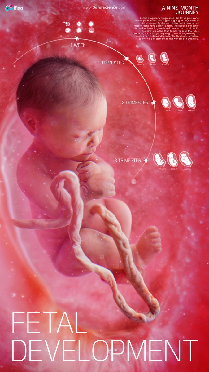 3dforscience_'s tweet image. Discover the miracle of life in 3D! At 3DforScience, we are committed to bringing science and biotechnology to life through stunning and realistic images.
Discover our page: rb.gy/yfsykw
#3DforScience #Biotechnology #ScientificVisualization