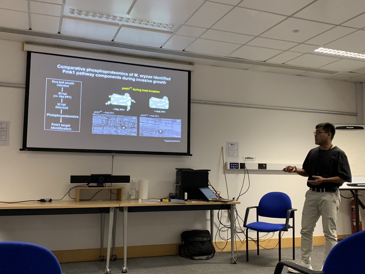 Mark Jave Bautista studies the “enemy” Pmk1-dependent effector proteins in the rice blast fungus using phosphoproteomics! #jictslstudentasm2024