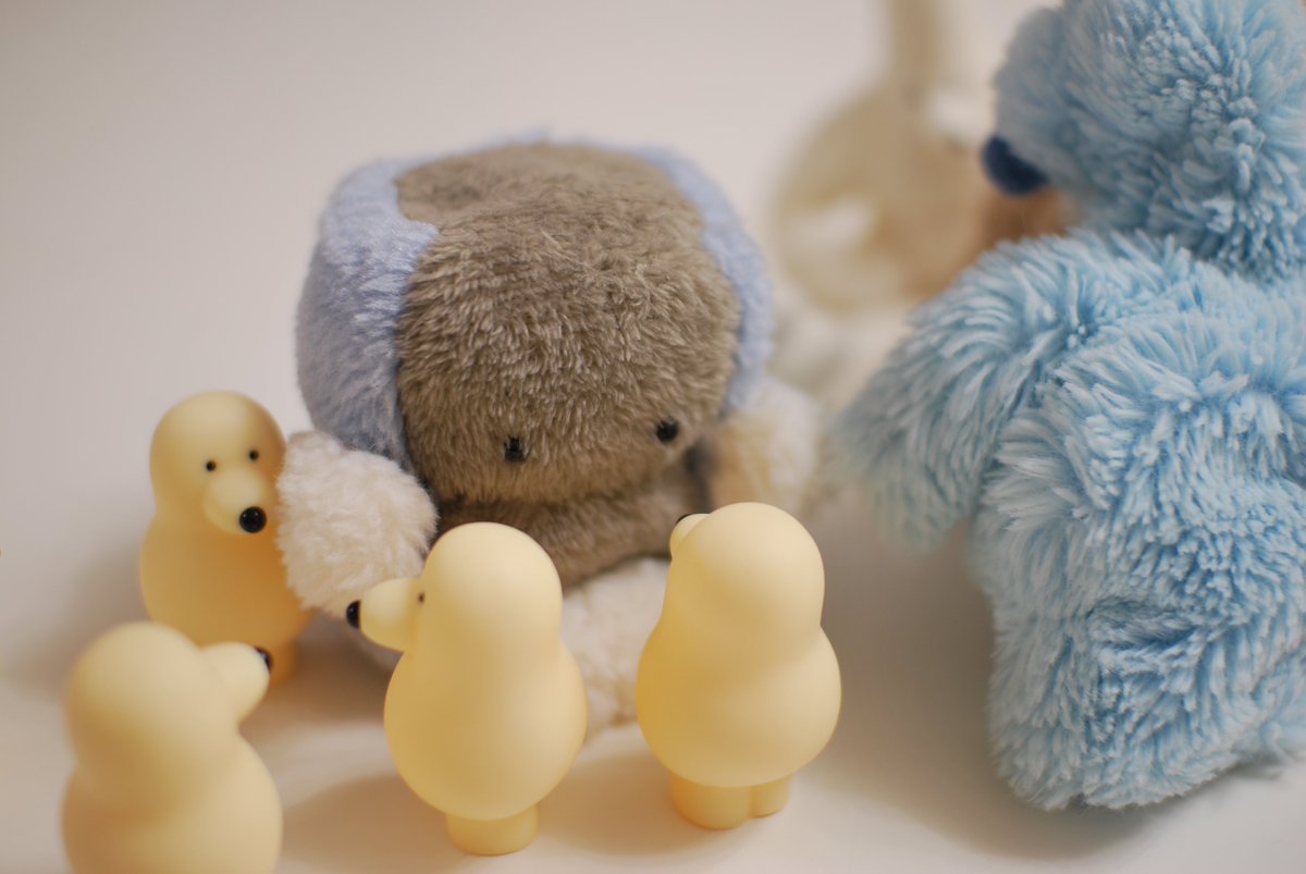 カネヒラ (@simainusima) / Posts / X