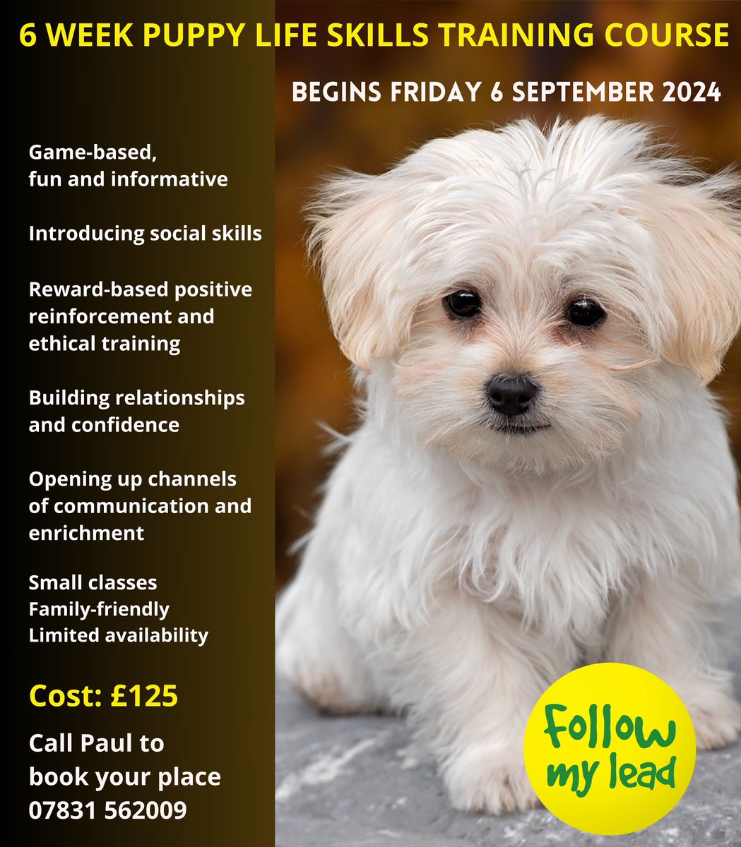 fmldogtraining's tweet photo. 🟡 Registration Open - For Our Next Six Week Puppy Life Skills Training Course starts Friday 6th September - call to secure your place - classes are small so limited availability…🐾

1:2:1 Dog Trainer🐕‍🦺-Puppy Training &amp; Classes 🐶-Home Visits 🏠-North London https://t.co/0ZYU341GFu