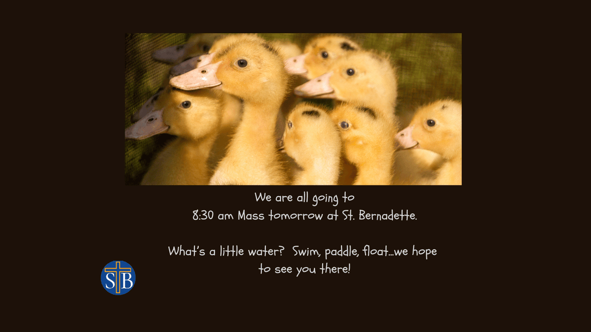 #TuesdaymorningMass