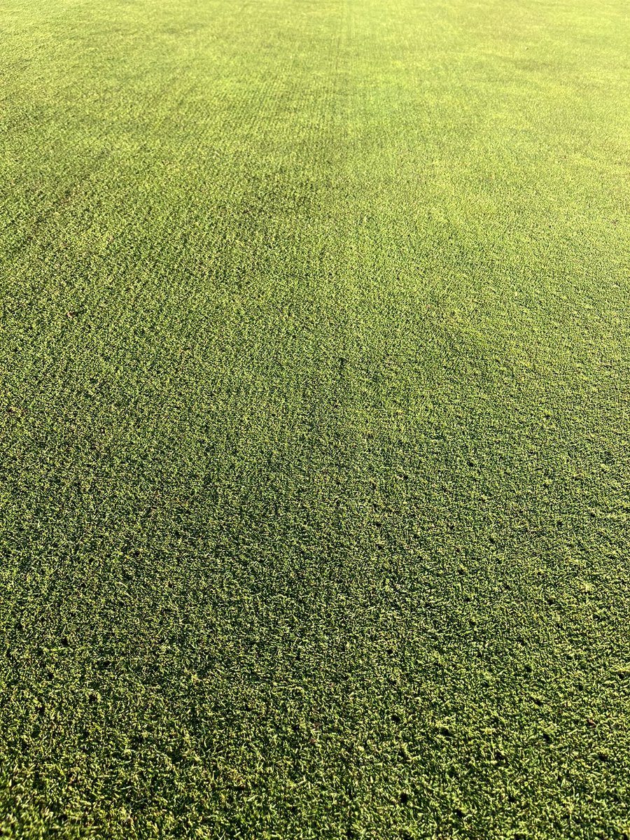 Geoffrey Seath tweet media