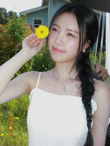 서체 tweet media