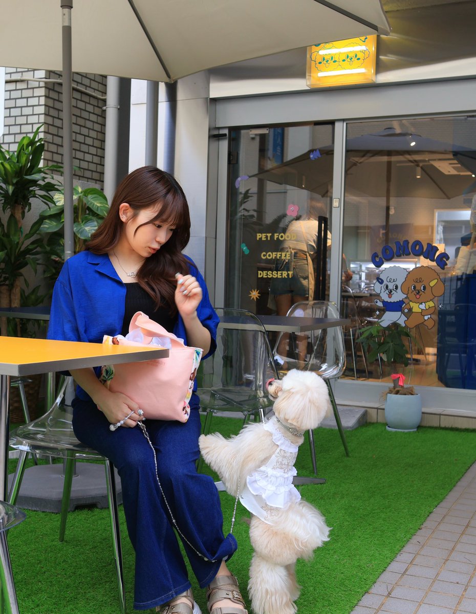 mireimorota's tweet photo. 久しぶりに愛犬とおでかけしてきました🐶
韓国風の可愛いお店で、ペット用の料理から雑貨まで、なにもかも可愛かった♡
9月の舞台を無事に走り抜けたら、この子連れてもうちょっと遠くまでお出かけに行きたいな🚗³₃
#おでかけ #犬がいる幸せ #犬 #COMONG #カフェ https://t.co/ZtaN406zxJ