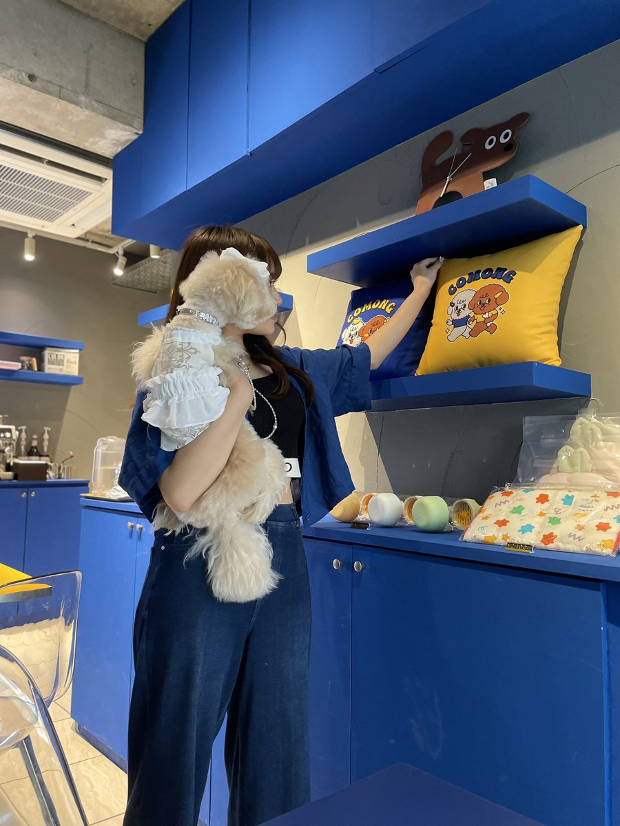 mireimorota's tweet photo. 久しぶりに愛犬とおでかけしてきました🐶
韓国風の可愛いお店で、ペット用の料理から雑貨まで、なにもかも可愛かった♡
9月の舞台を無事に走り抜けたら、この子連れてもうちょっと遠くまでお出かけに行きたいな🚗³₃
#おでかけ #犬がいる幸せ #犬 #COMONG #カフェ https://t.co/ZtaN406zxJ