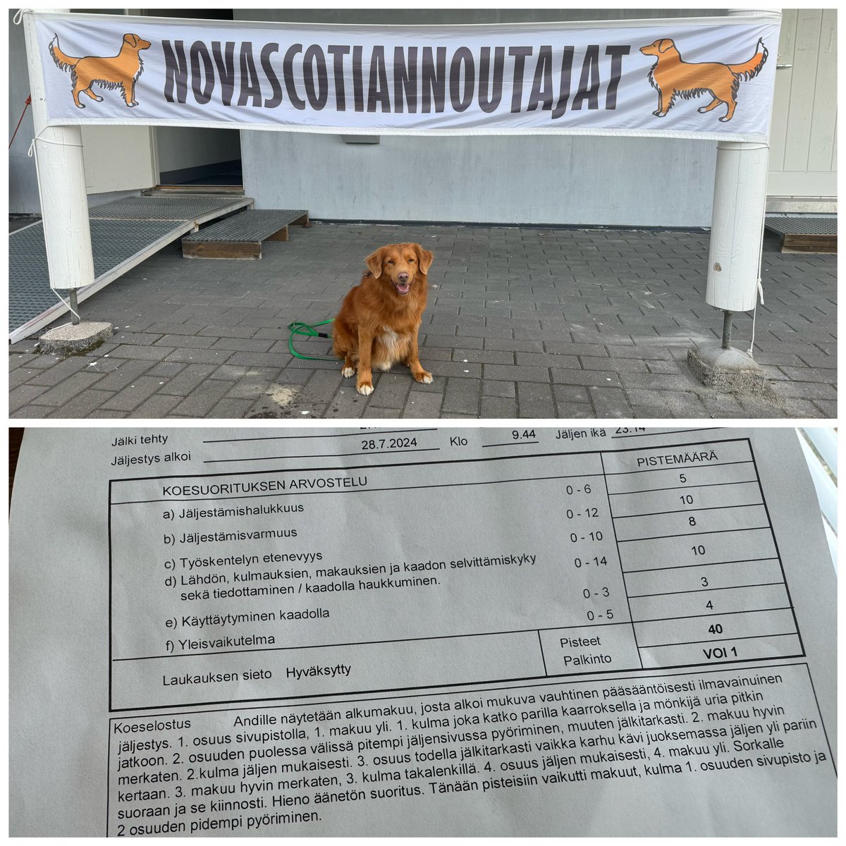 Mentiin koiran kanssa metsään ja törmättiin karhuun 😉 onneksi ei demariin