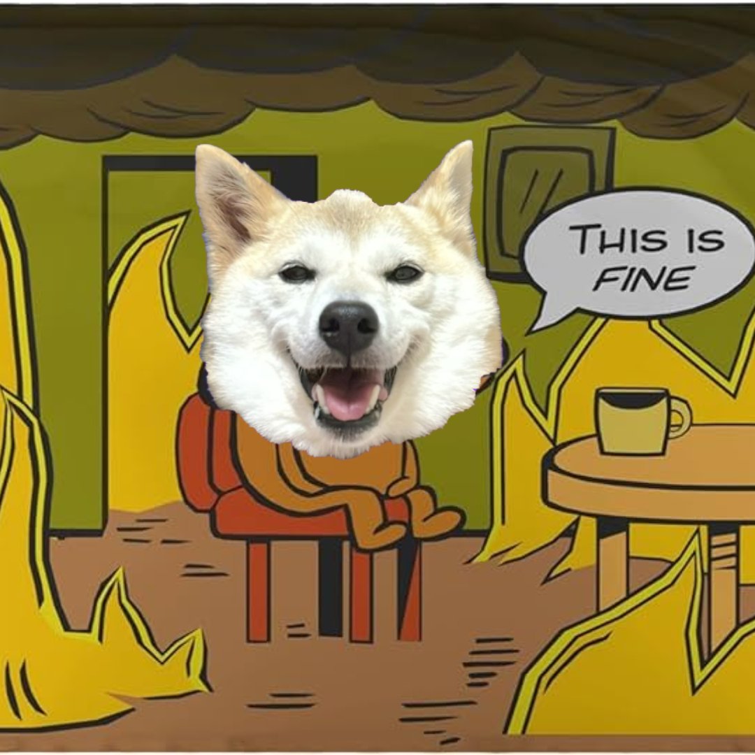Neiro Inu tweet media