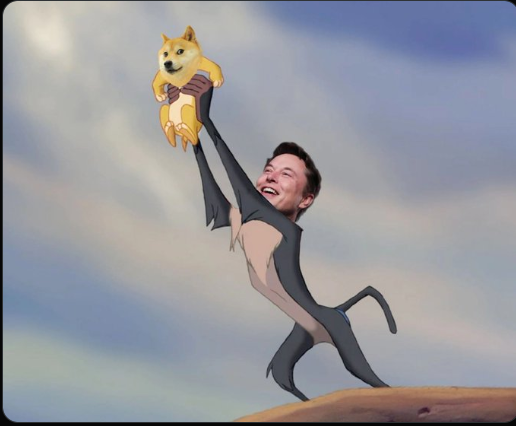 JamesSmith68660's tweet photo. “I sort of have a soft spot for Dogecoin, because I just like dogs and memes”  — Elon Musk https://t.co/aJe4RxnwQR
