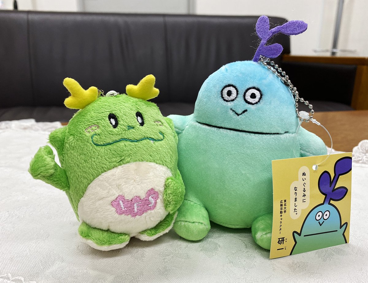 IFS_TohokuUniv's tweet photo. お友だちがやって来た！🌱りゅーたん大喜び🙌
#りゅーたん #研一 https://t.co/AQ98U4JNIM