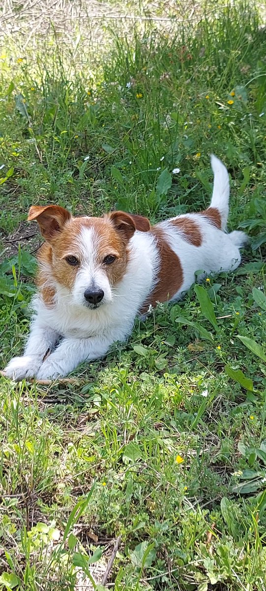 <a href="/IL_PATRIOTAITA/">✌️патриот✌️🇮🇹🤝🇷🇺 🄽🄾 🄲🄰🅅🄸🄰 - 🧸❤️</a> Somiglia al mio amore bello
Bravo questo signore stima e affetto 👍❤️❤️❤️❤️